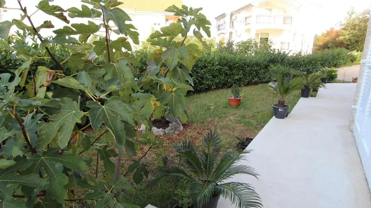 Apartments Jela Sveti Vid-Miholjice Guest house